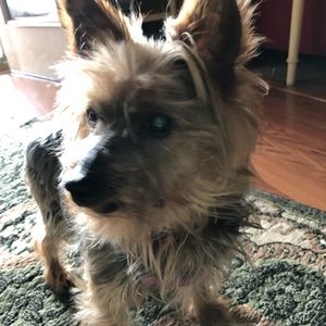 This is my posh helper.